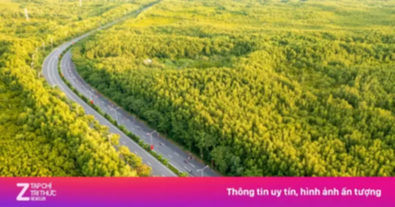 TP.HCM Thúc Giải Phóng Mặt Bằng Metro Bến Thành - Cần Giờ, Hướng Tới Khai Thác 2028