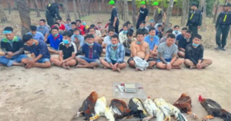 TP.HCM triệt phá sới gà lớn, khởi tố 22 đối tượng tổ chức đánh bạc dịp Tết