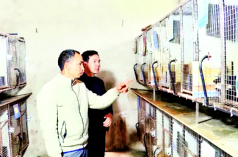 Trà Shan Tuyết Độ Khoa và Mô Hình Chăn Nuôi Mới Thúc Đẩy Nông Nghiệp Xã Vĩnh Tuy