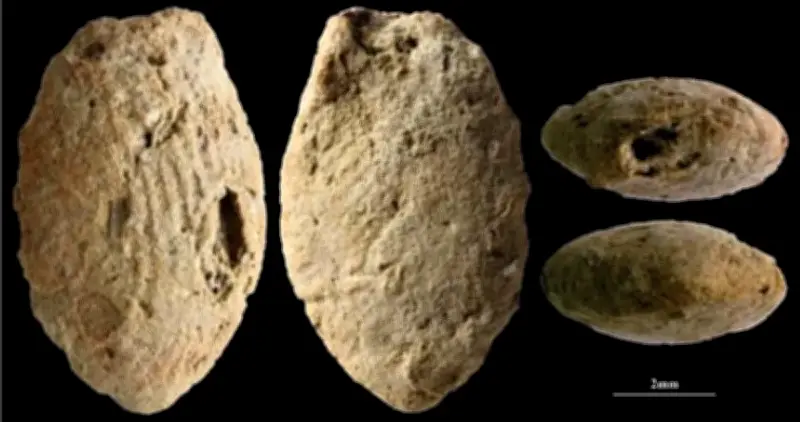 Trang Sức 12.000 Năm Tuổi Tiết Lộ Ngôn Ngữ Chung Của Người Tiền Sử