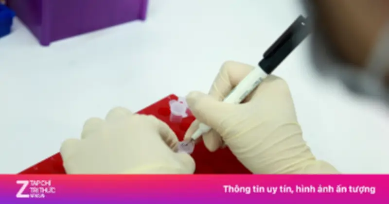 Tranh cãi gia đình vì kết quả ADN: Khoa học hay mâu thuẫn tài sản?