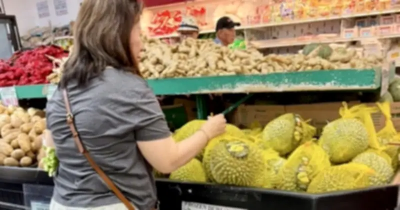 Trái cây Việt 'bùng nổ' tại Mỹ: Sầu riêng Ri6 tăng 529%, dừa tươi dẫn đầu kim ngạch