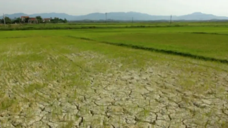 Trái Đất nóng lên tăng tốc 0,35 độ C/thập kỷ: Hệ quả từ việc giảm ô nhiễm không khí