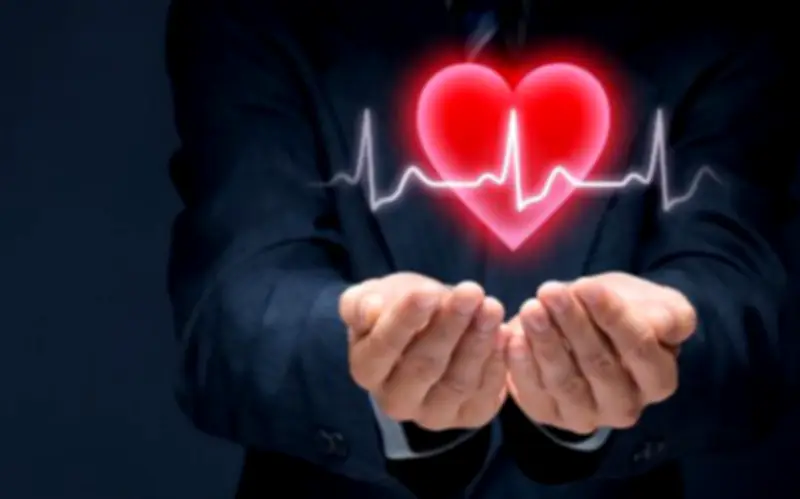 Trái Tim Quyết Định Tuổi Thọ: Người Trung Niên Nên Ưu Tiên 4 Loại Thực Phẩm Trẻ Hóa Mạch Máu