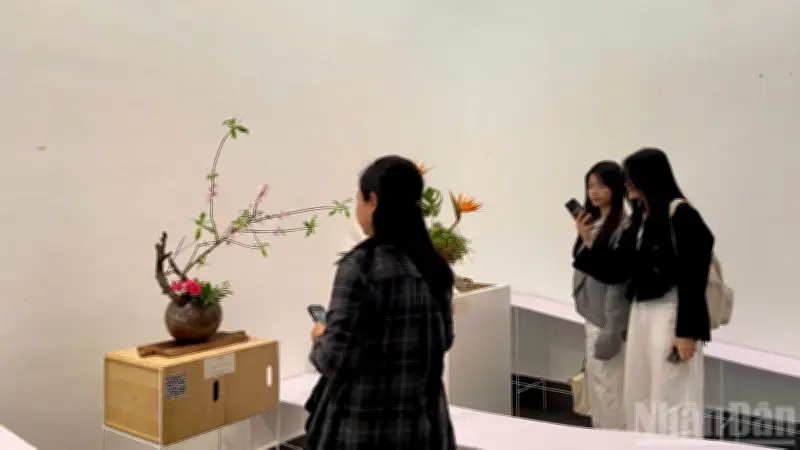 Triển lãm 'Gió Đông': Hành trình hồi sinh và cân bằng qua nghệ thuật Ikebana