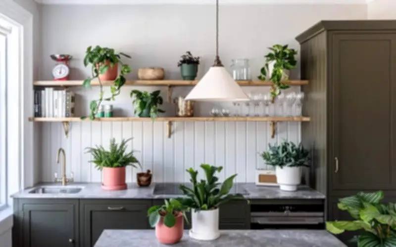 Trồng cây cảnh trong bếp: Vừa tăng sinh khí, vừa hút tài lộc hiệu quả