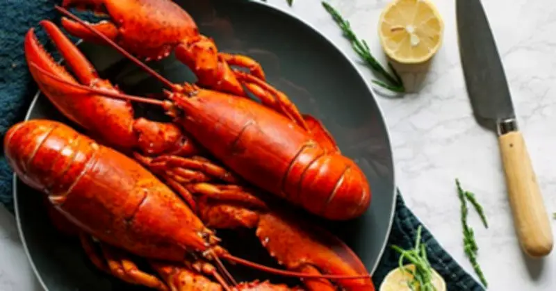 Trung Quốc chiếm gần như toàn bộ thị trường xuất khẩu tôm hùm Việt Nam năm 2025