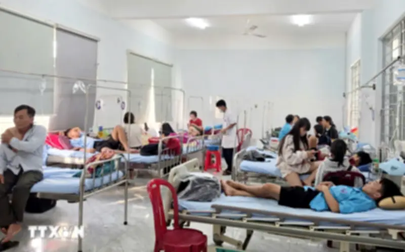 Truy Xuất Nguồn Gốc Thực Phẩm Vụ Nhiều Người Nhập Viện Sau Ăn Bánh Mì Ở Đắk Lắk