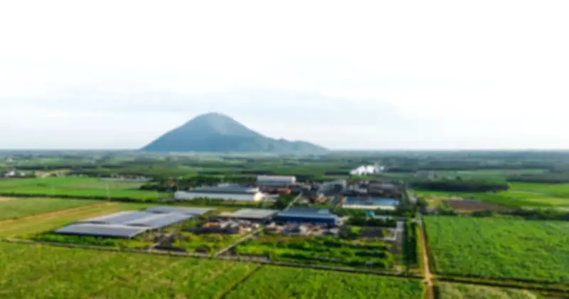 TTC AgriS chuẩn bị giao dịch cổ phiếu 438 tỷ đồng, tái cấu trúc vì chiến lược dài hạn