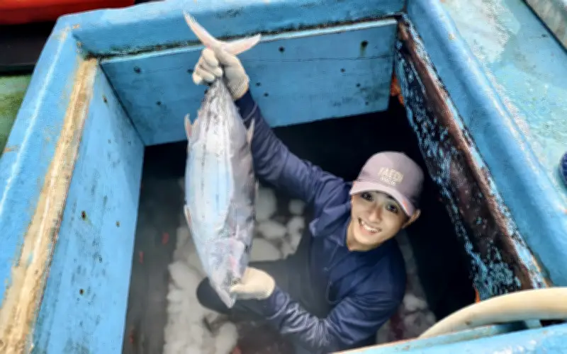 Tàu cá Quảng Ngãi về cảng với gần 3 tấn cá ngừ đại dương sau chuyến biển dài