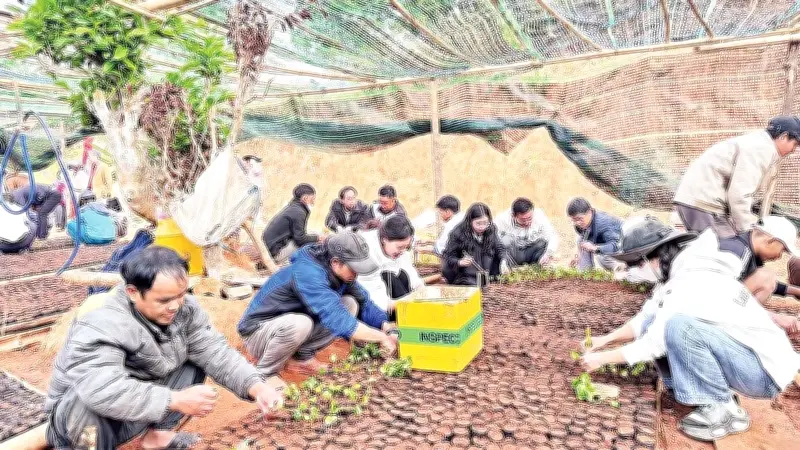 Tu Mơ Rông ươm mầm cà phê chất lượng cao, xây dựng vùng nguyên liệu bền vững