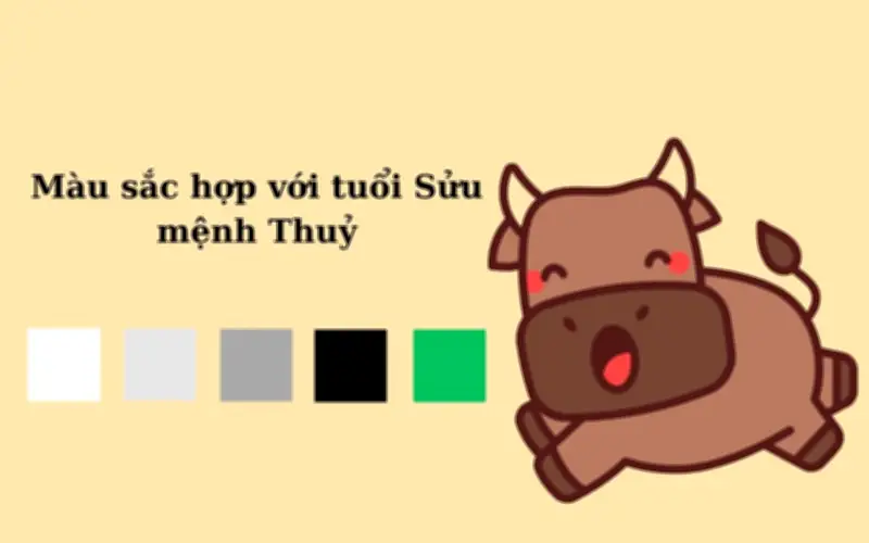 Tuổi Tỵ Nên Mua Gì Đầu Năm Để Khởi Đầu Thuận Lợi, Cả Năm Thịnh Vượng?