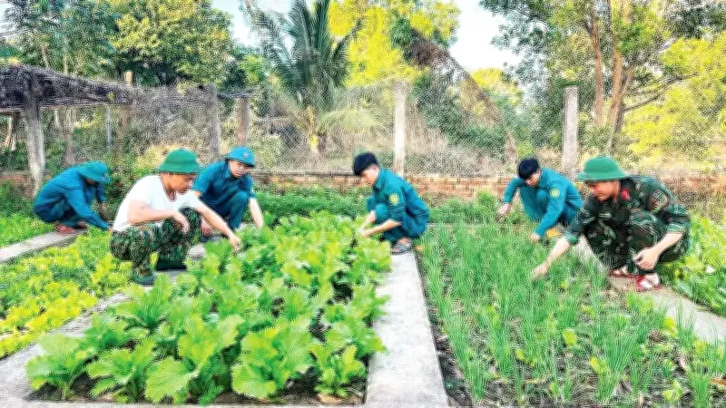 Tuổi trẻ lực lượng vũ trang Ia Rvê viết nên câu chuyện đẹp về tinh thần xung kích và đoàn kết quân dân