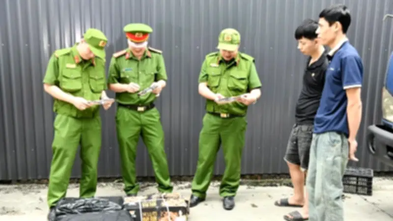 Tuyên Quang phát hiện hơn 5,2 tấn lạp xưởng đông lạnh không rõ nguồn gốc