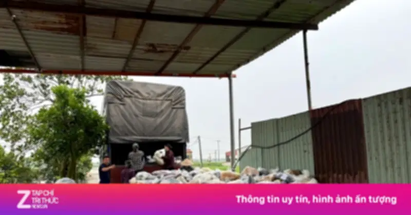 Vụ 100 Tấn Thực Phẩm Chức Năng Giả: Cán Bộ Hải Quan Nhận Hối Lộ 1,5 Tỷ Đồng