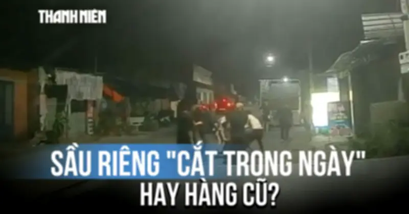 Vụ 3 xe bán tải rượt đuổi trong đêm: Mâu thuẫn vì sầu riêng không tươi