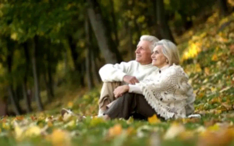 Về Giá Mới Thăm 3: Chòm Dưa Tưởng Vững Chắc Nhưng Lại Hóa Mong Manh