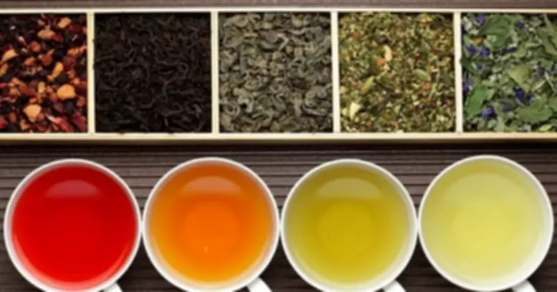 Vị Đắng Của Trà, Cà Phê, Ca Cao: Từ Cảnh Báo Tự Vệ Thành Khoái Cảm Toàn Cầu