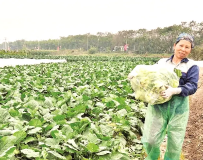 Vẻ đẹp người phụ nữ Việt trong lao động: Thầm lặng mà phi thường
