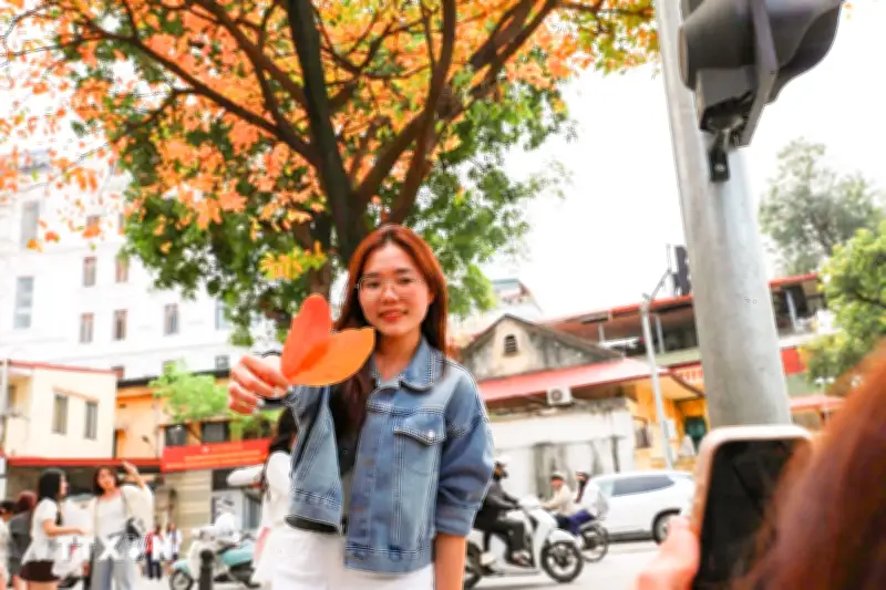 Vẻ đẹp nên thơ của Hà Nội trong mùa cây thay lá