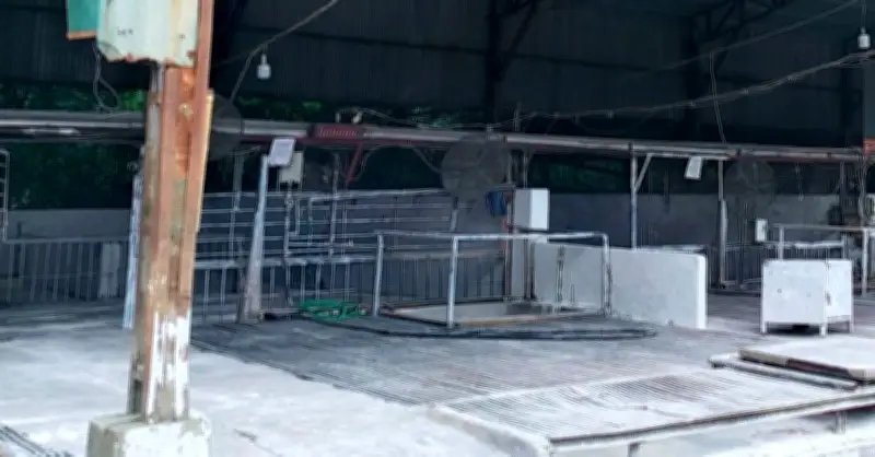 Vụ tiêu thụ hàng nghìn con lợn bệnh ở Hà Nội: Mục sở thị lò mổ không biển hiệu