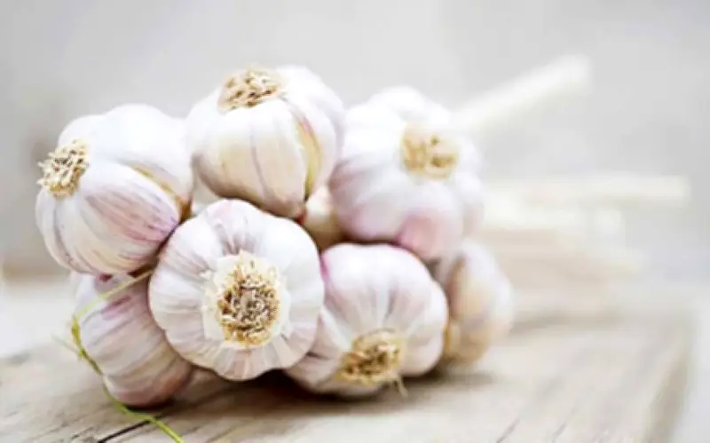 Vị trí đất tối trong nhà: Bí quyết phong thủy xua vận xui, đón tài lộc và bình an