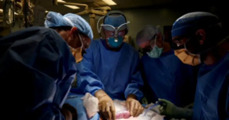 Vatican chính thức ủng hộ cấy ghép nội tạng động vật cho người theo hướng dẫn đạo đức mới