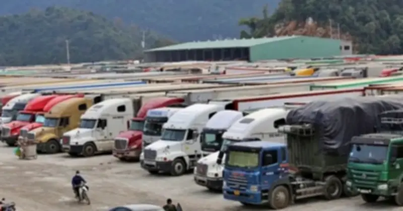 VCCI cảnh báo nguy cơ đứt gãy chuỗi cung ứng thực phẩm nếu Nghị định 46 có hiệu lực trở lại