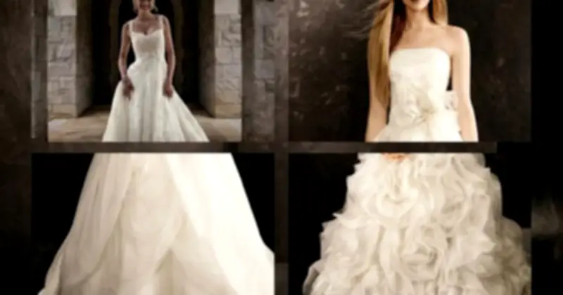 Vera Wang: Từ Thất Bại Đến Đế Chế Thời Trang Ở Tuổi 77