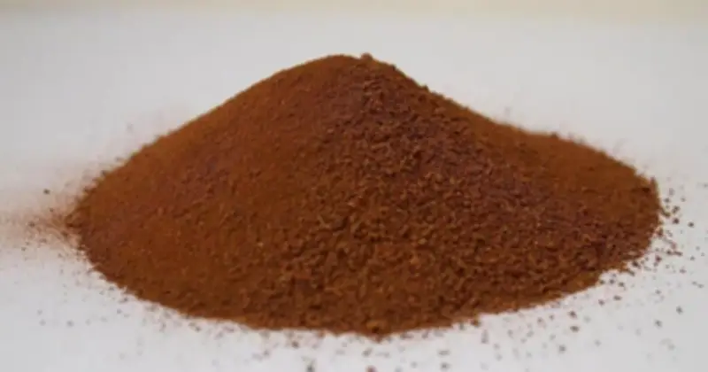 Vi khuẩn và nước tiểu phi hành gia: Chìa khóa xây nhà đầu tiên trên Sao Hỏa