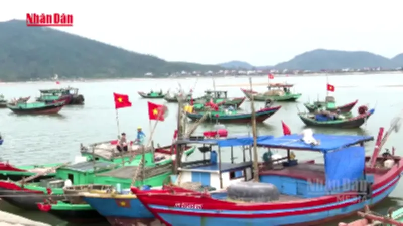 Video Bà Rịa - Vũng Tàu: Vườn Khởi Kiện Bất Ngờ Bốc Cháy Trong Ngày Bầu Cử