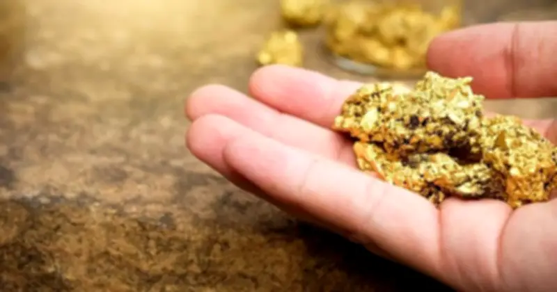 Vimico (KSV) Ghi Nhận Lợi Nhuận Kỷ Lục Năm 2025 Dù Đối Mặt Rủi Ro Tư Cách Công Ty Đại Chúng