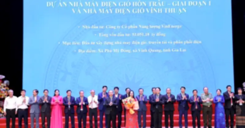 VinEnergo và Gia Lai ký biên bản ghi nhớ đầu tư cụm nhà máy điện gió quy mô lớn