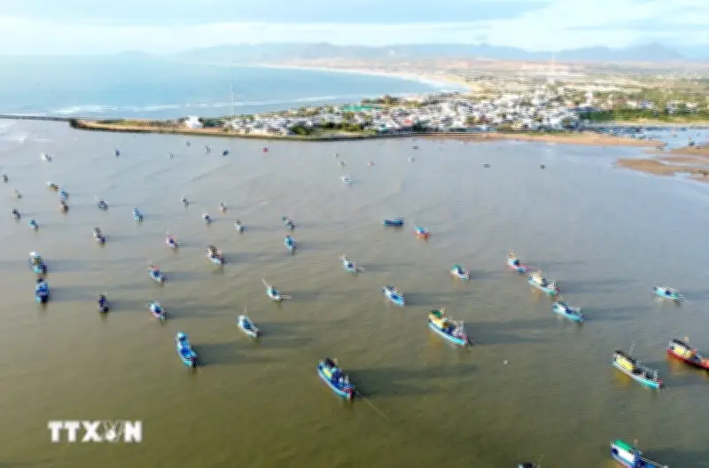 Việt Anh thúc đẩy hợp tác an ninh biển thông qua phát triển kinh tế biển xanh