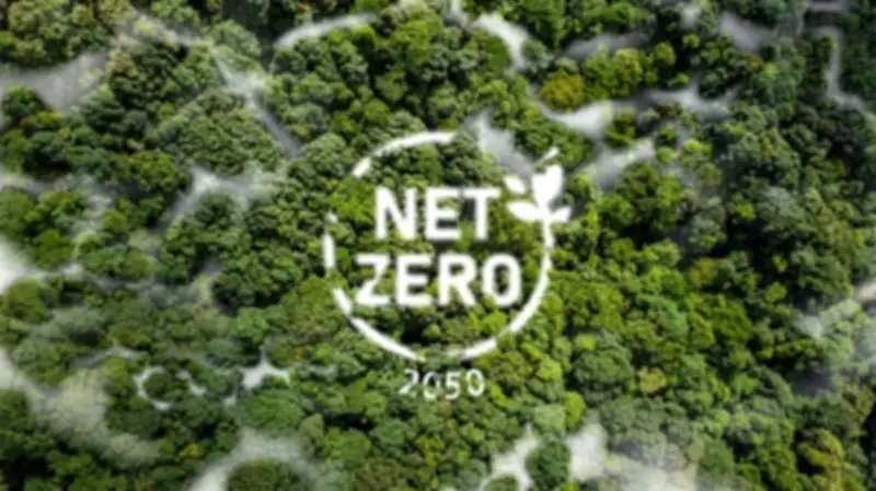 Việt Nam chuyển dịch năng lượng hướng tới Net Zero 2050: Thách thức và cơ hội từ chính sách và công nghệ