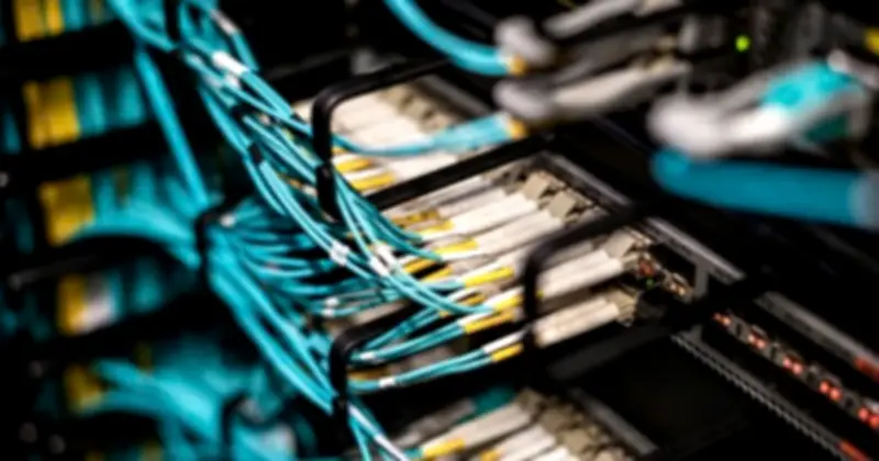 Việt Nam Đối Mặt Nguy Cơ Cao Từ Tấn Công Chuỗi Cung Ứng Và Thiếu Hụt Nhân Lực An Ninh Mạng