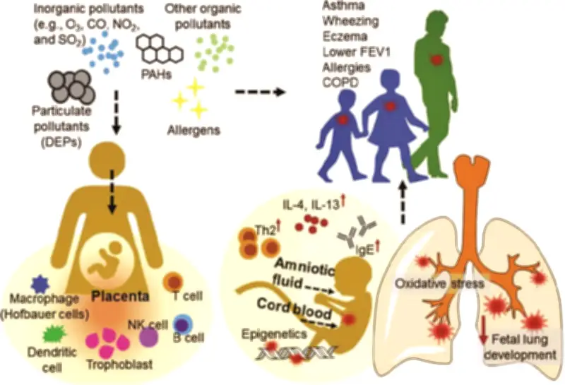 Việt Nam ứng dụng màng sinh học vi khuẩn bản địa xử lý ô nhiễm dầu hiệu quả