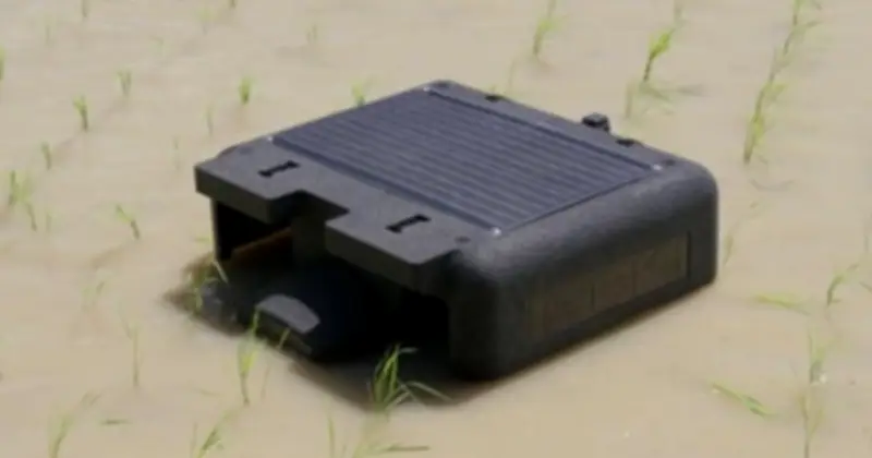 Việt Nam tiên phong thế giới với dự án lúa gạo bền vững, ứng dụng robot AI diệt cỏ