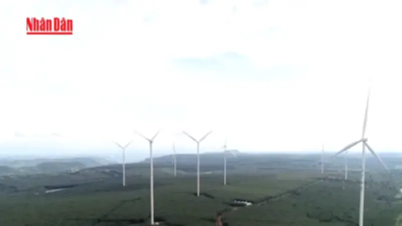 Việt Nam đẩy mạnh năng lượng tái tạo hướng tới mục tiêu phát thải ròng bằng 0