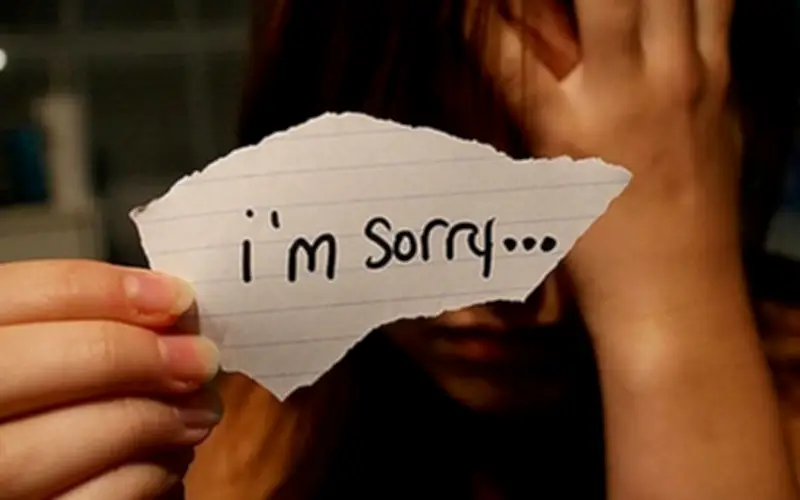 Văn hóa xin lỗi: Từ câu 'I'm Sorry' đến những câu chuyện lay động lòng người