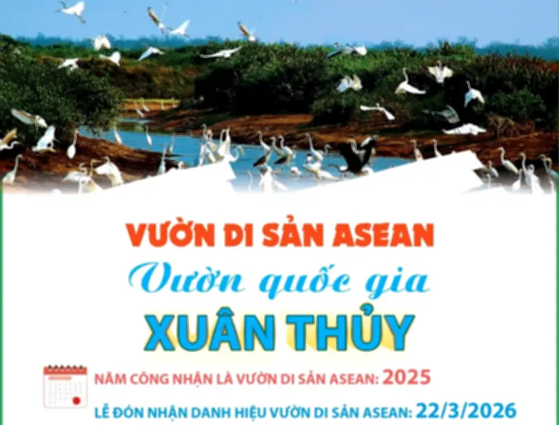 Vườn Quốc gia Xuân Thủy: Điểm sáng di sản ASEAN tại Nam Định