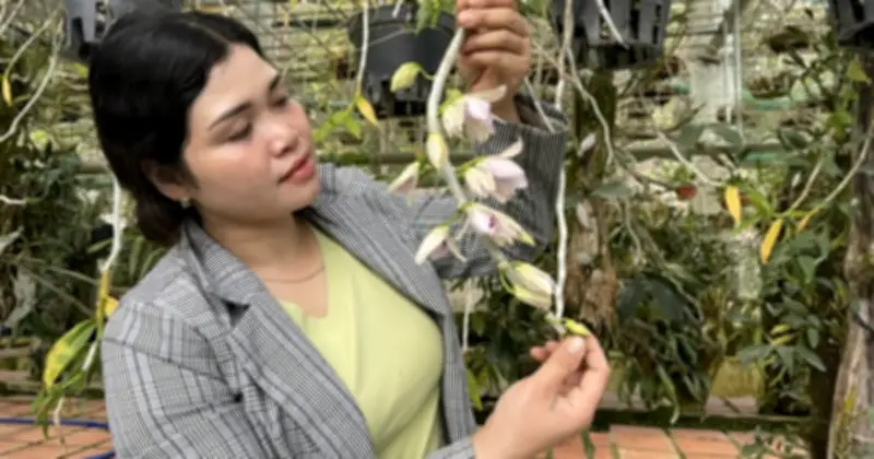 Vườn Trẻ Đặc Biệt: Hành Trình Nhọc Nhằn Cứu Phong Lan Rừng Quý Hiếm