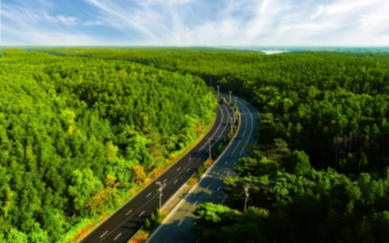 VnExpress Marathon Green Paradise Cần Giờ: Cung Đường Xanh Biểu Tượng Kích Hoạt Du Lịch Sinh Thái