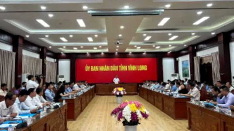 Vĩnh Long chiếm 61% diện tích dừa cả nước, đối mặt thách thức giá cả biến động