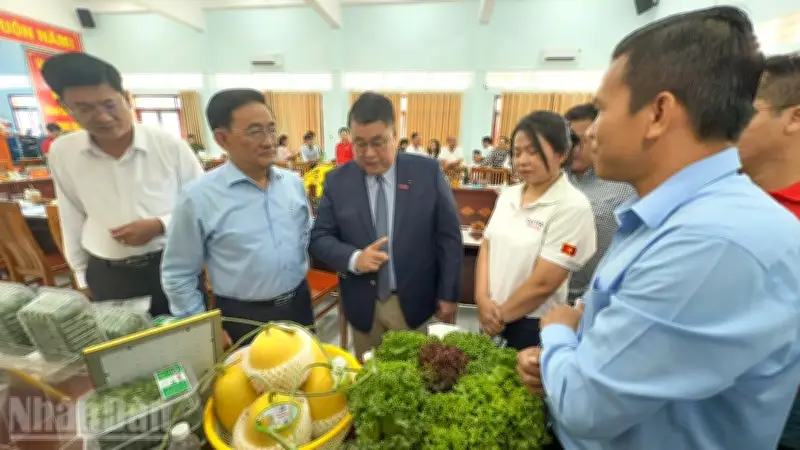 Vĩnh Long Kết Nối OCOP Với GO!, Mở Cửa Thị Trường Phân Phối Hiện Đại