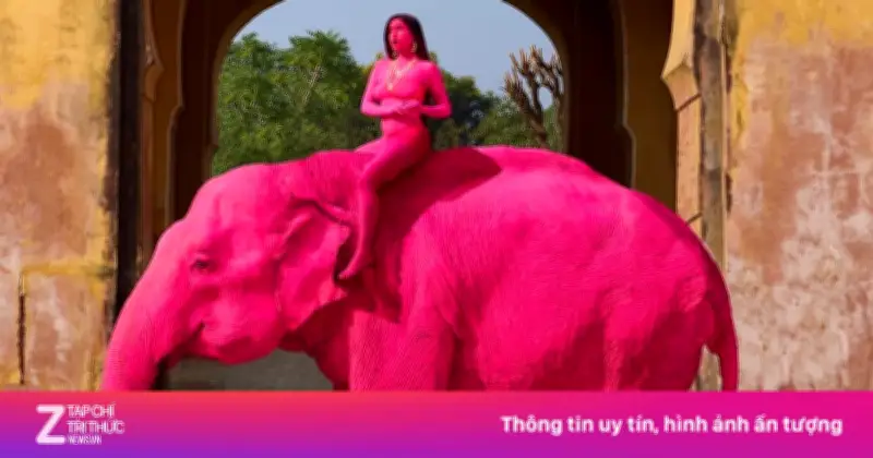 Voi 65 tuổi bị sơn hồng rực để chụp ảnh gây phẫn nộ, chủ tiết lộ đã qua đời