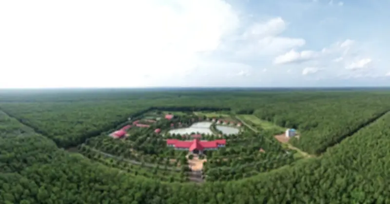 VRG tổ chức cuộc thi ảnh và video 'Sắc màu ngành Cao su Việt Nam'