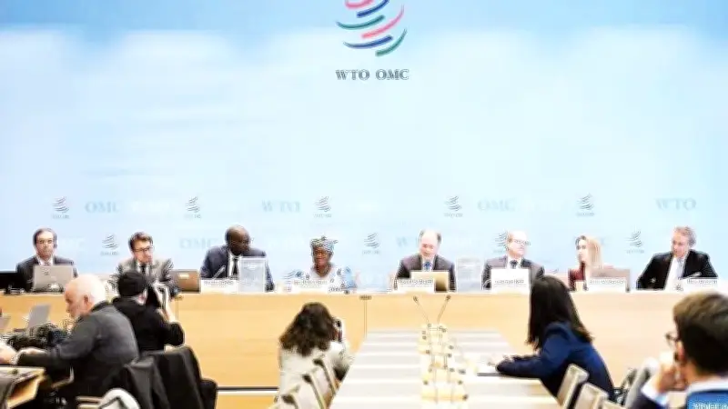 WTO dự báo tăng trưởng thương mại toàn cầu giảm mạnh năm 2026, cảnh báo rủi ro từ Trung Đông