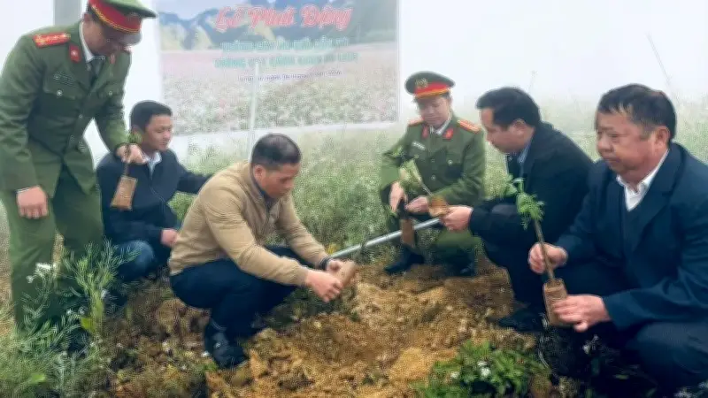 Xã Lũng Cú được hỗ trợ cây giống để phát triển du lịch xanh và cảnh quan