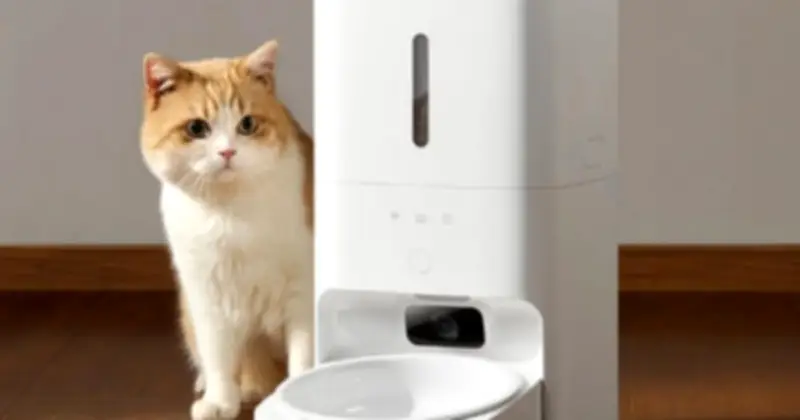 Xiaomi ra mắt Mijia Smart Pet Feeder 2 Visual Edition: Camera hồng ngoại và AI nhận diện thú cưng